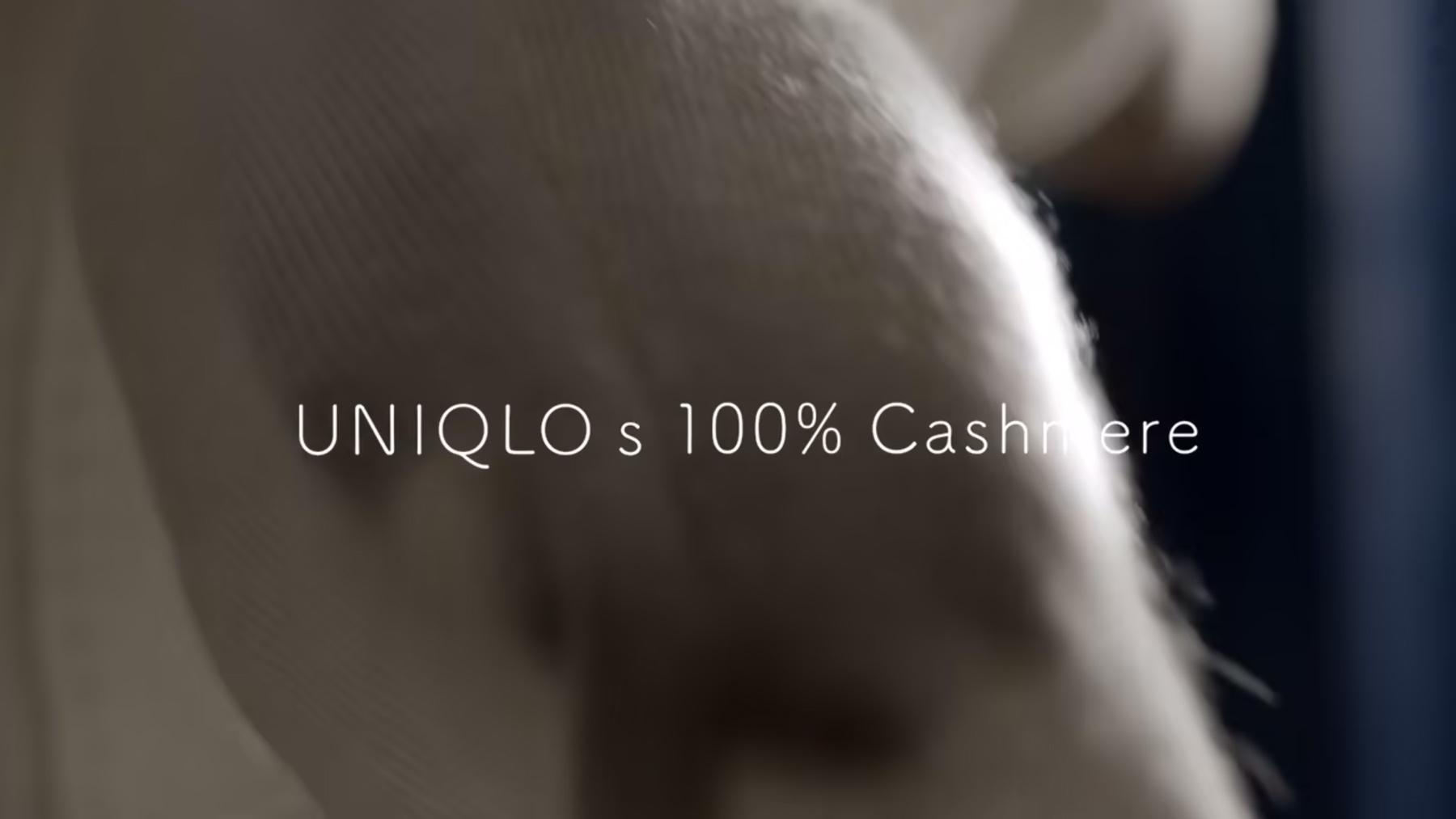 uniqlo – 100% cashmere